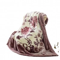 Super Soft Exting Blankets Light Color Double Ply One Side Embossed Raschel Mink Blanket