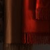 Wholesale in Stockt Throw Blanket Tassel Oem/odm Cashmere Throw Sofa Blankets