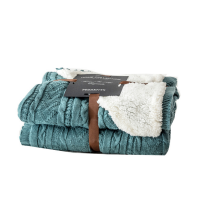 Bed Sofa Couch Living Room Bedroom Throw Blankets Soft Throw Sherpa Fleece Blanket with Tassels for Winter